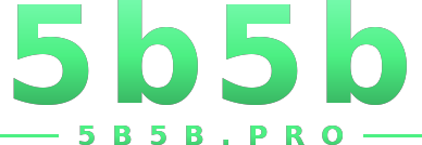 5b5b logo